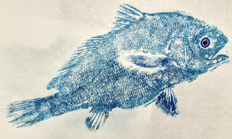 ed kit Gyotaku Fish Printing 2024 01