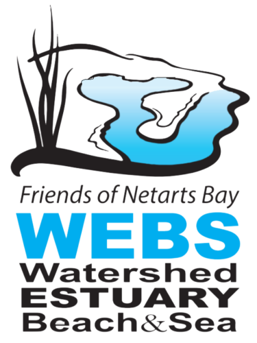 Friends of Netarts Bay WEBS Logo