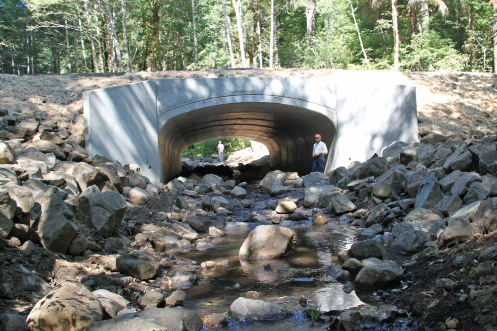 project Fan Creek lower after Culvert