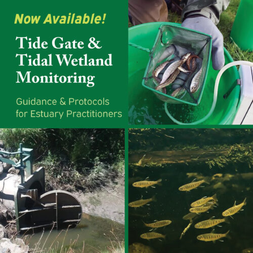 SM Tide Gate Monitoring Handbook2