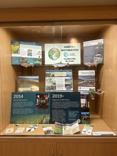 Library display case 2