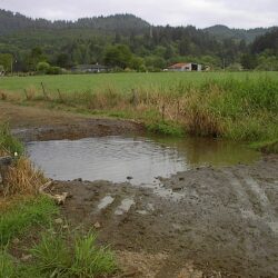 big puddle in a road next to a field