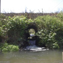 CUlvert is sitting above the water line with some water flowing through it