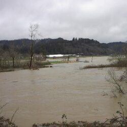 image of field covered in brown water