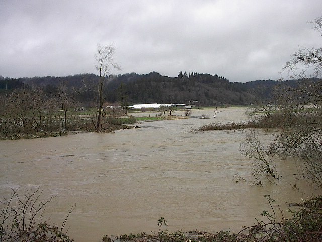 image of field covered in brown water