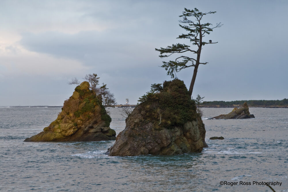 Roger Ross Photography