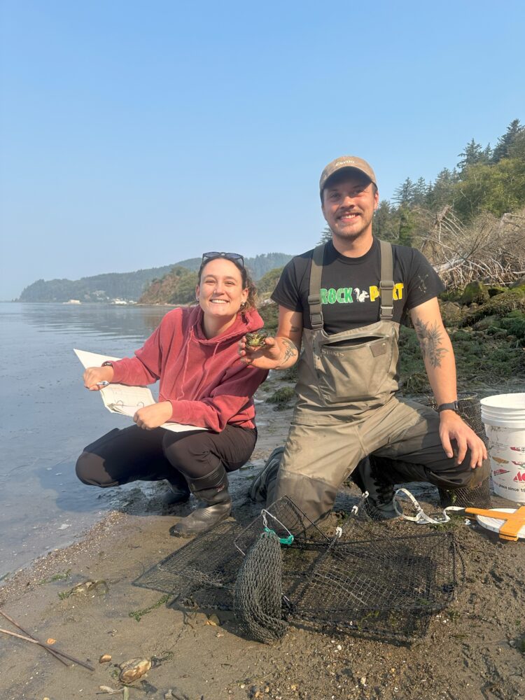 taking data on green crab with smiles