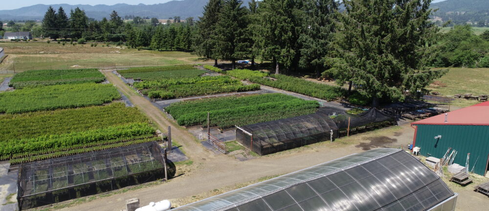 Aerial view of the native plant nursery including the green barn with a red roof, shad house, and rows of green plants.
