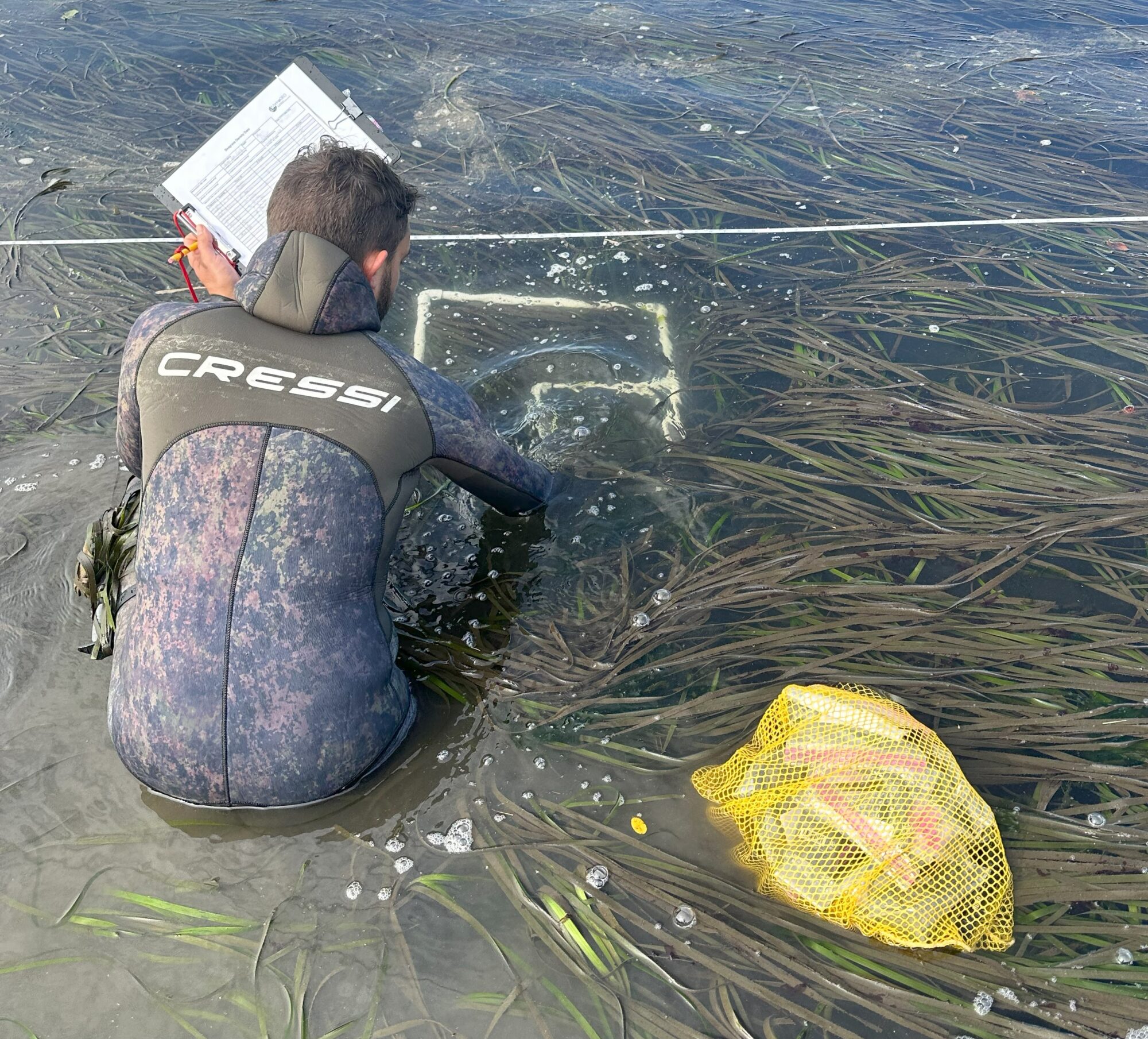 Monitoring Staff Collects Data on Seagrass in Tillamook Bay Oregon TEP photo Cred Flynn DeLany Field and Data Scientist