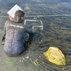 Monitoring Staff Collects Data on Seagrass in Tillamook Bay Oregon TEP photo Cred Flynn DeLany Field and Data Scientist