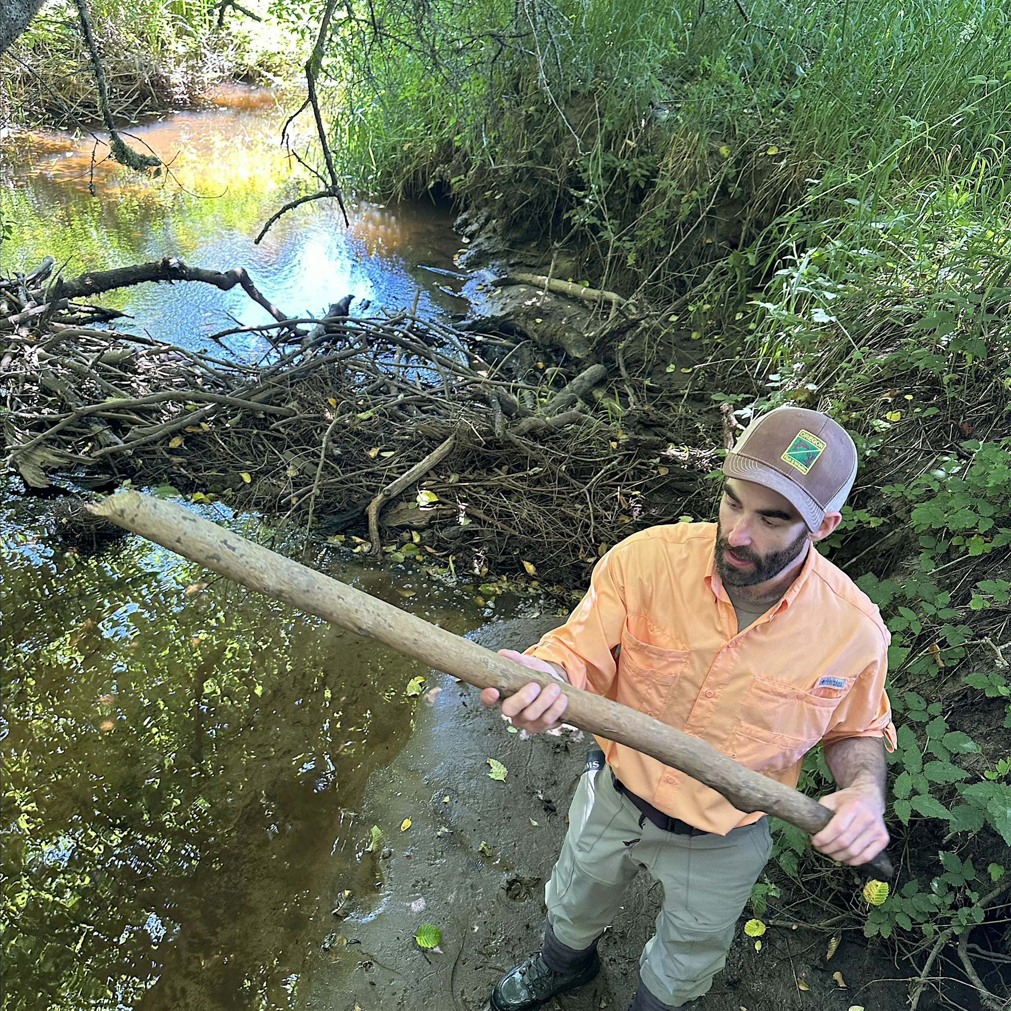 821f82fd929440567a062f3125acd9b8