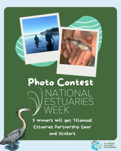 national estuaries week mailchimp announcement