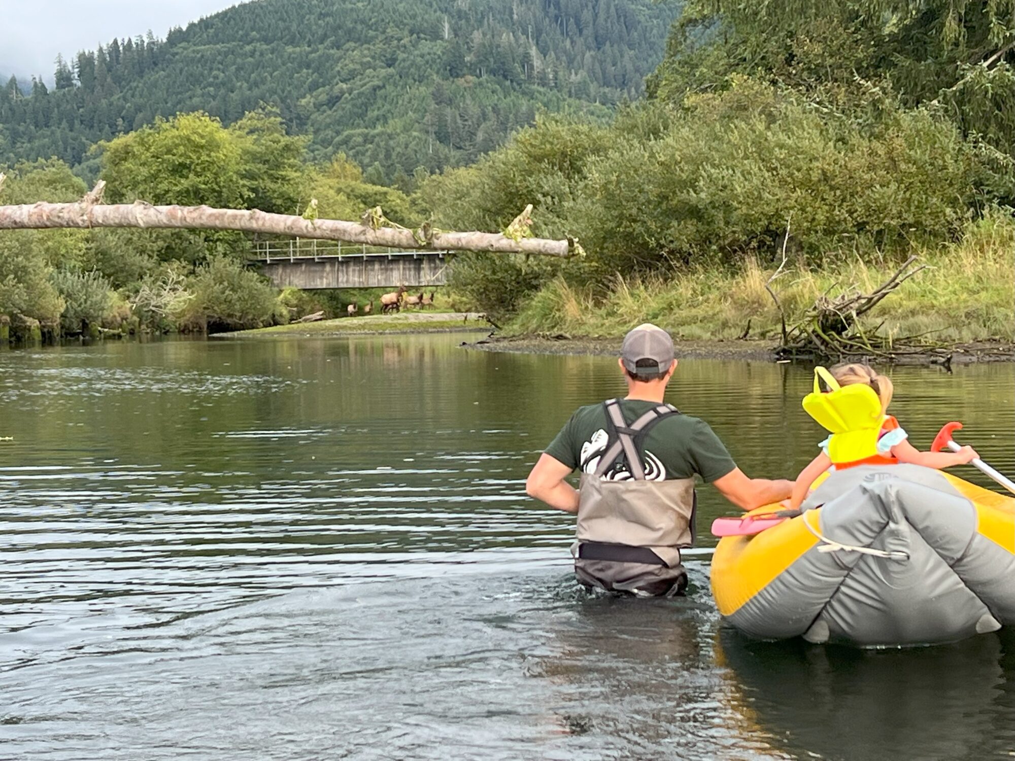 Honorable Mention Views Afternoon Paddle with Elk Visitors Sara Hieter