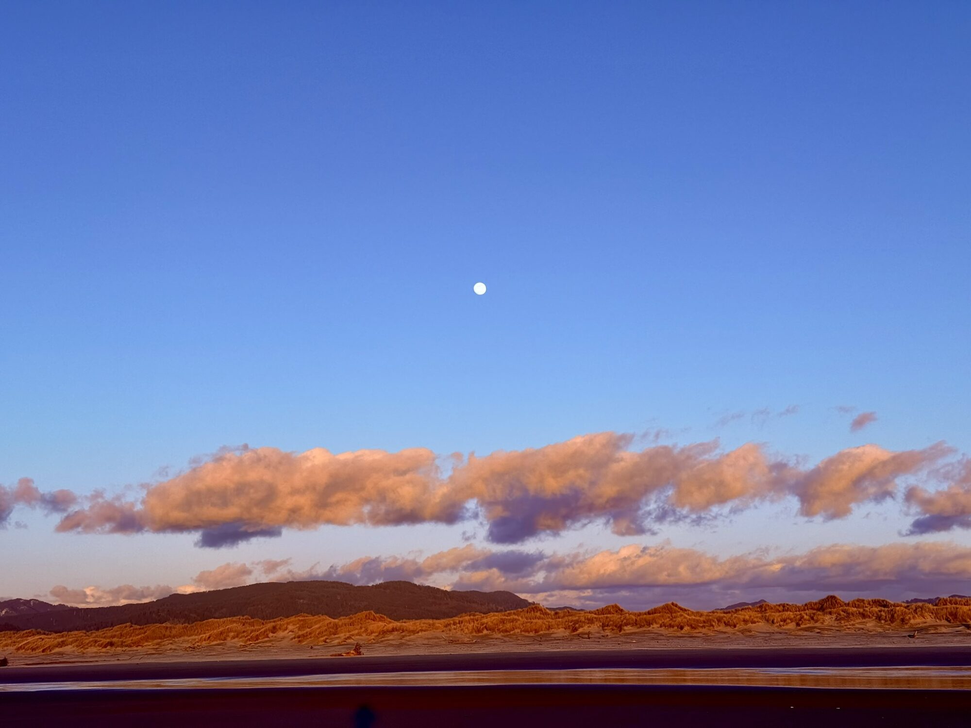 Honorable Mention Views Moon Rising Claudia Cameron