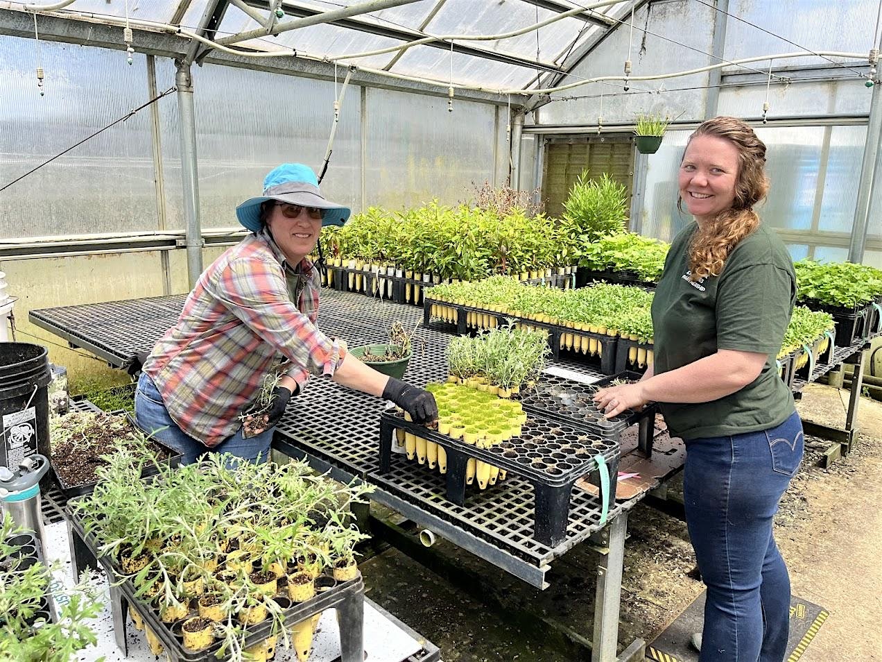 bd0a1b8c7ef7280d9dfddbe5dfa948a6