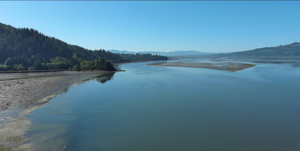 tillamook bay drone looking south