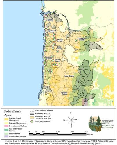 Screenshot 2026 03 12 095331