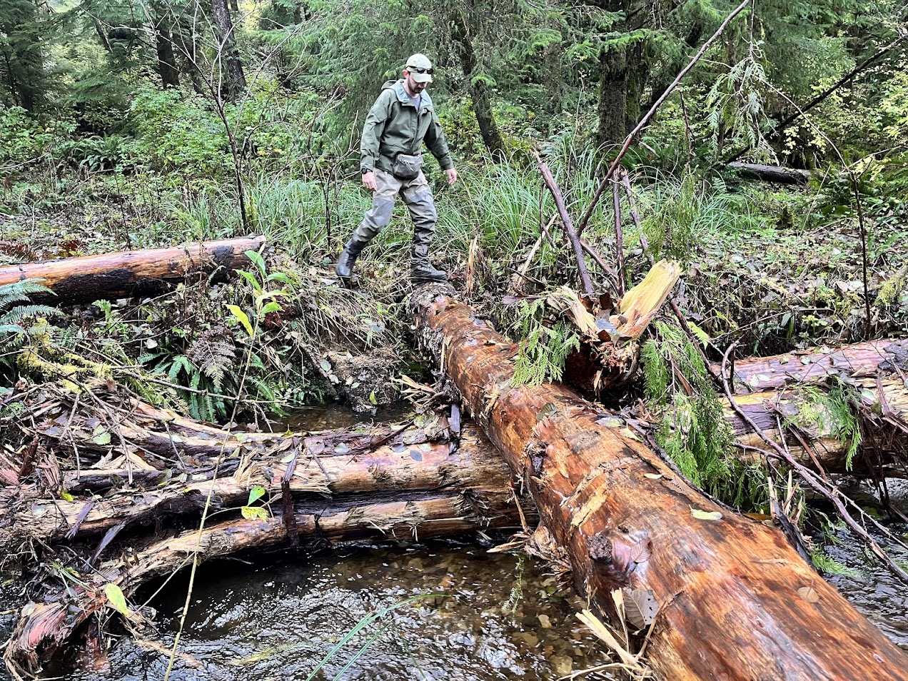 Race @ Salmon LW Placement