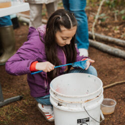 Girl in Pink Sweater holding small green net looking at something she scooped from a white bucket