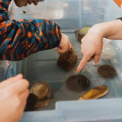 students hands in marine touch tank with urchins and sea anemones