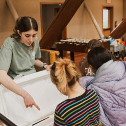 volunteer poitns something out to the students in the marine touch tank