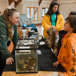 volunteer teaching students about tanks filled with marine animals on the table