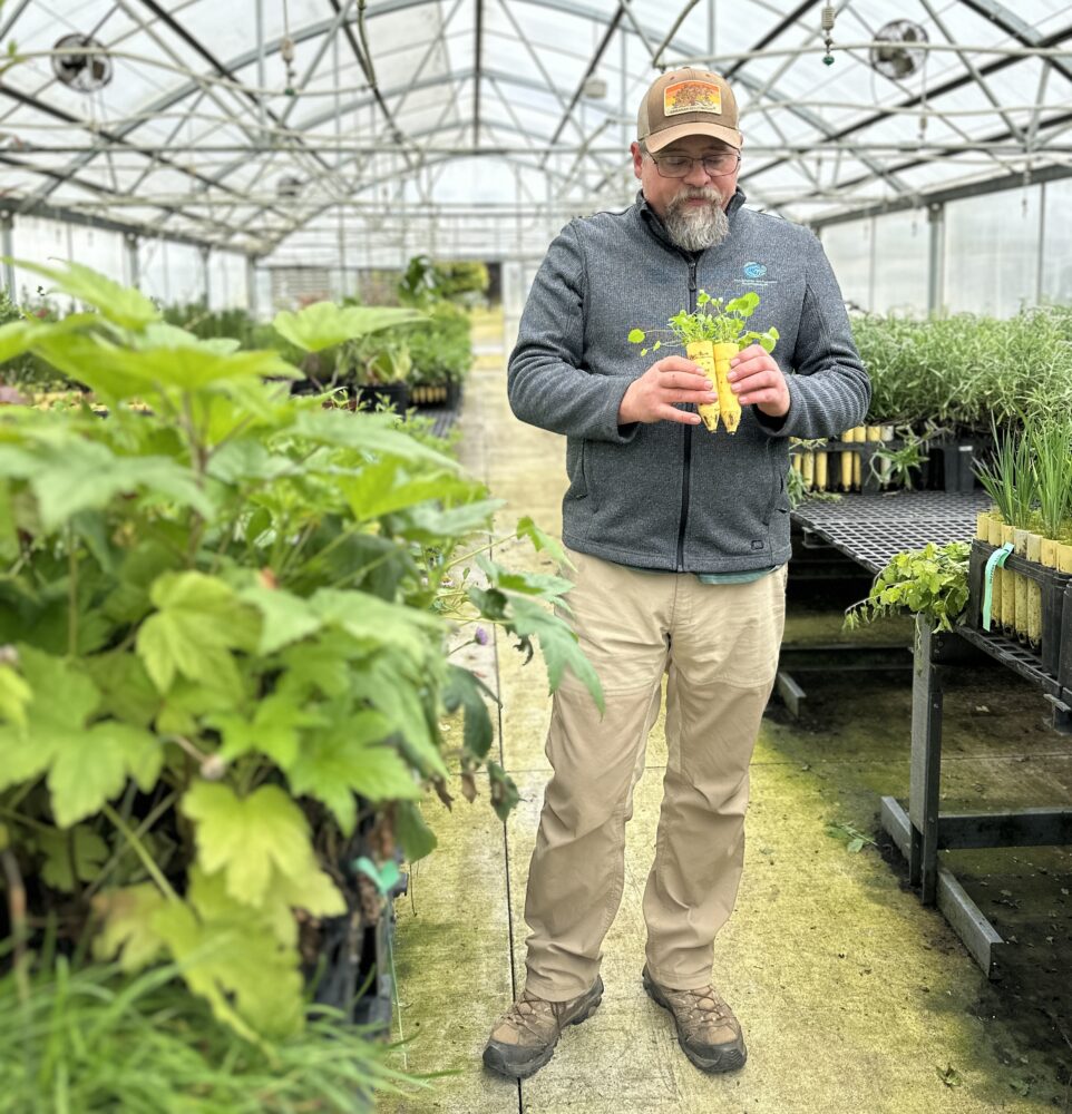 Image of Native Plant Nursery leader holding a baby plant in the nursery