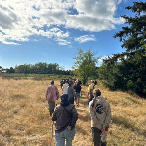 A group of people walking through a golden field with tree on their right and up a head. The TEP logo is clear on the back on the nearest person's sweater. 